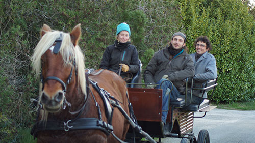 Balade en calèche